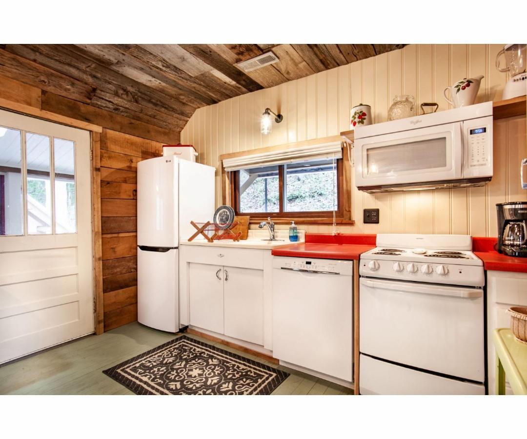 Beary Relaxing Cabin - Rustic With Outdoor Patio タウンゼンド エクステリア 写真