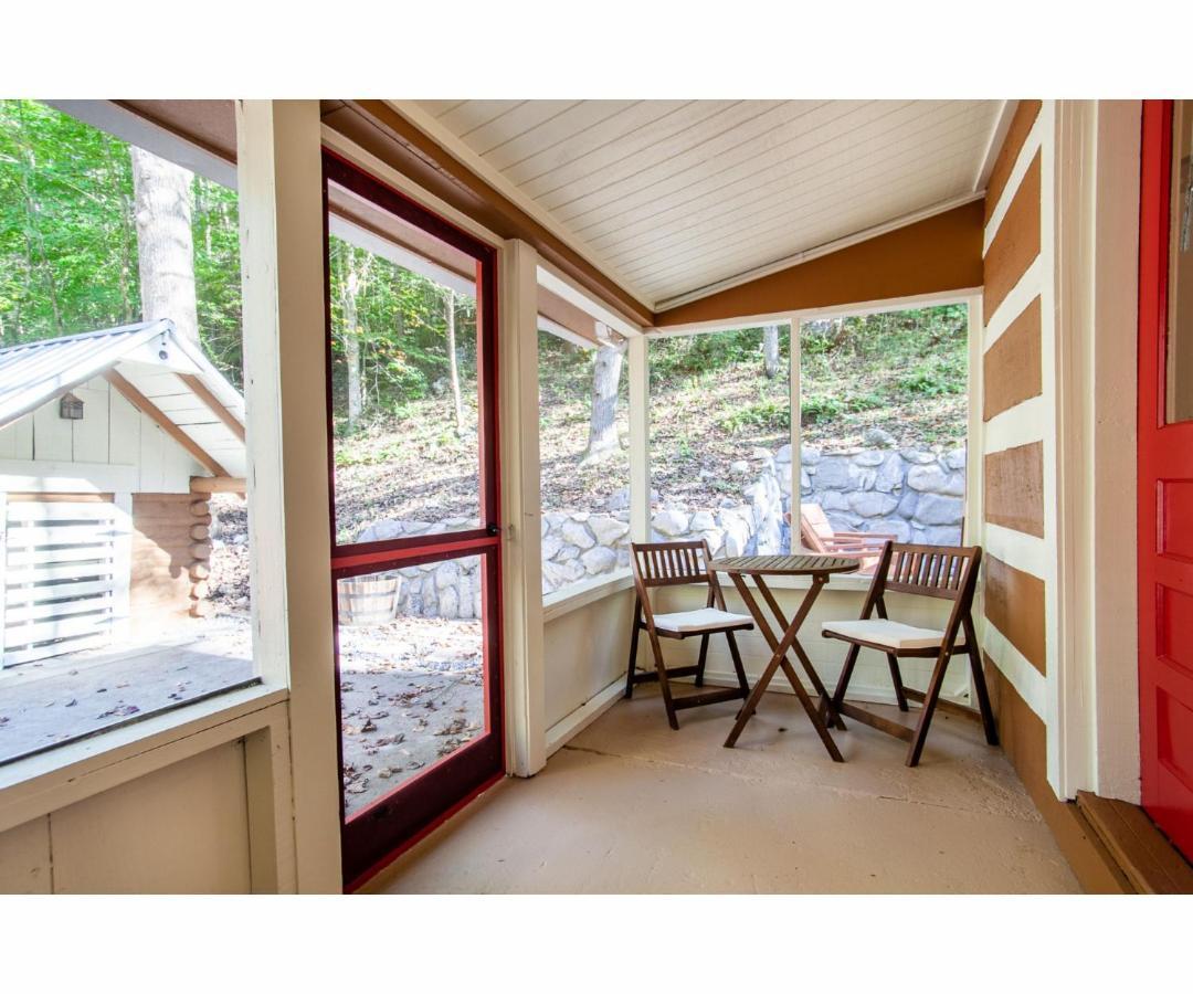 Beary Relaxing Cabin - Rustic With Outdoor Patio タウンゼンド エクステリア 写真