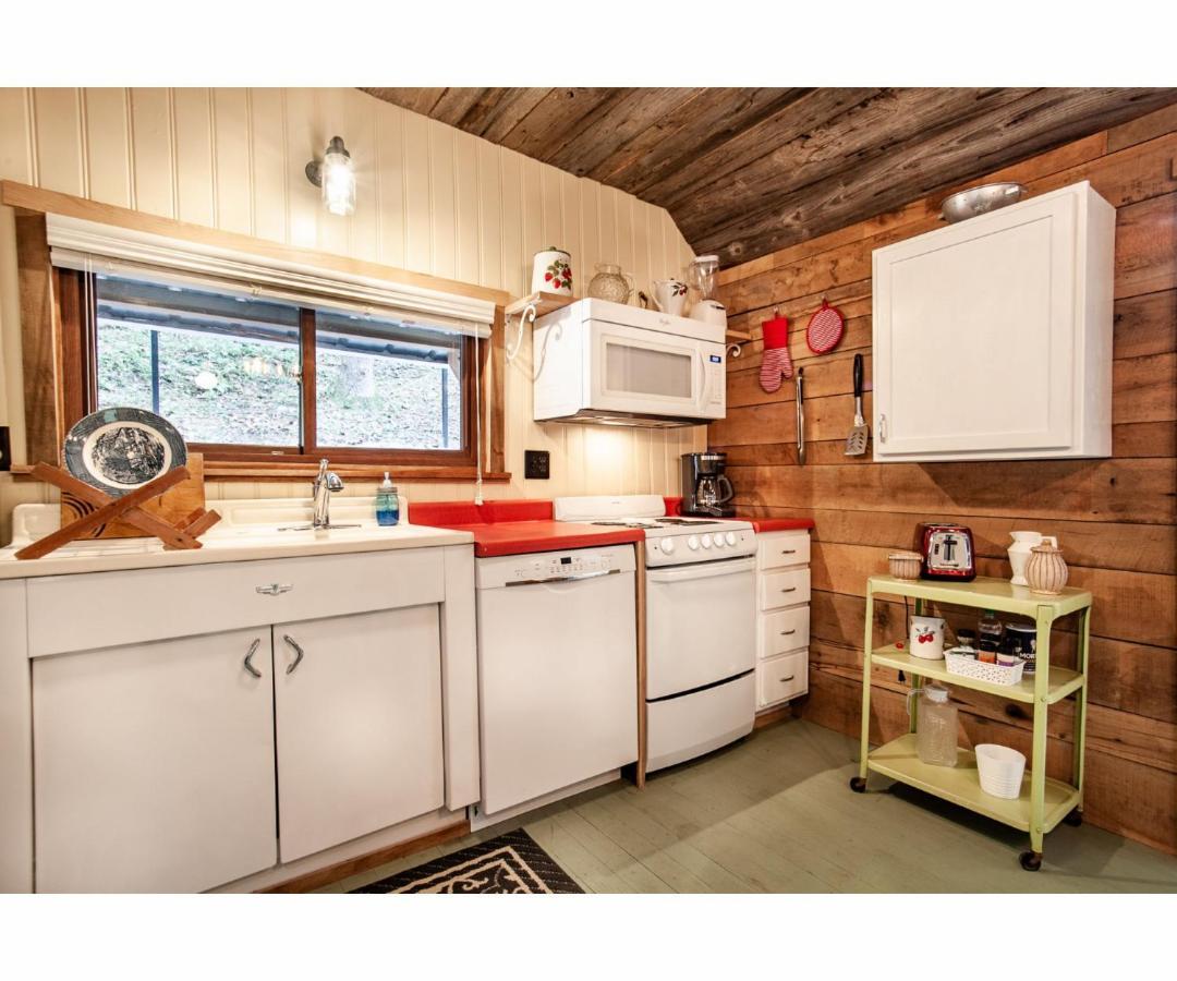 Beary Relaxing Cabin - Rustic With Outdoor Patio タウンゼンド エクステリア 写真