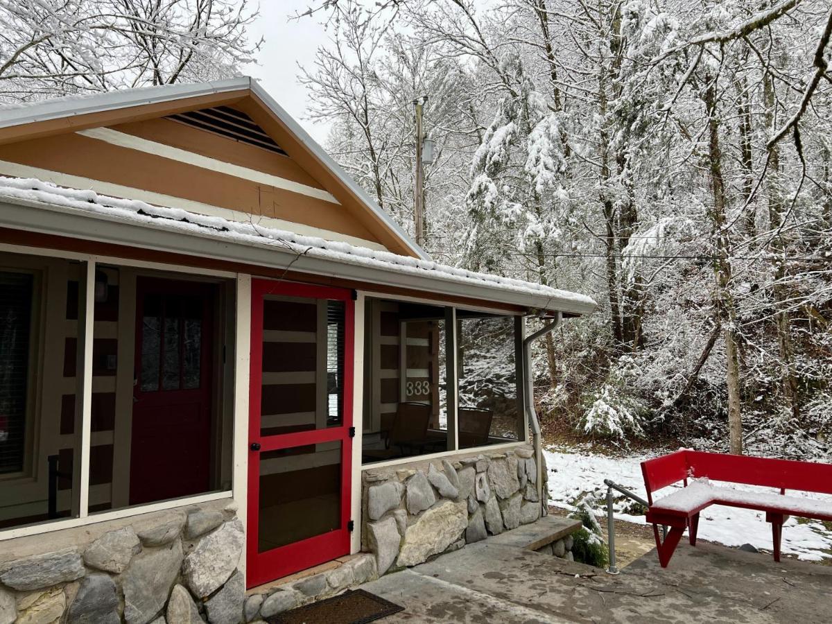 Beary Relaxing Cabin - Rustic With Outdoor Patio タウンゼンド エクステリア 写真