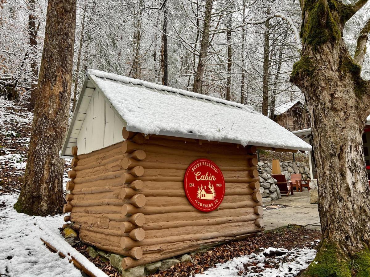 Beary Relaxing Cabin - Rustic With Outdoor Patio タウンゼンド エクステリア 写真